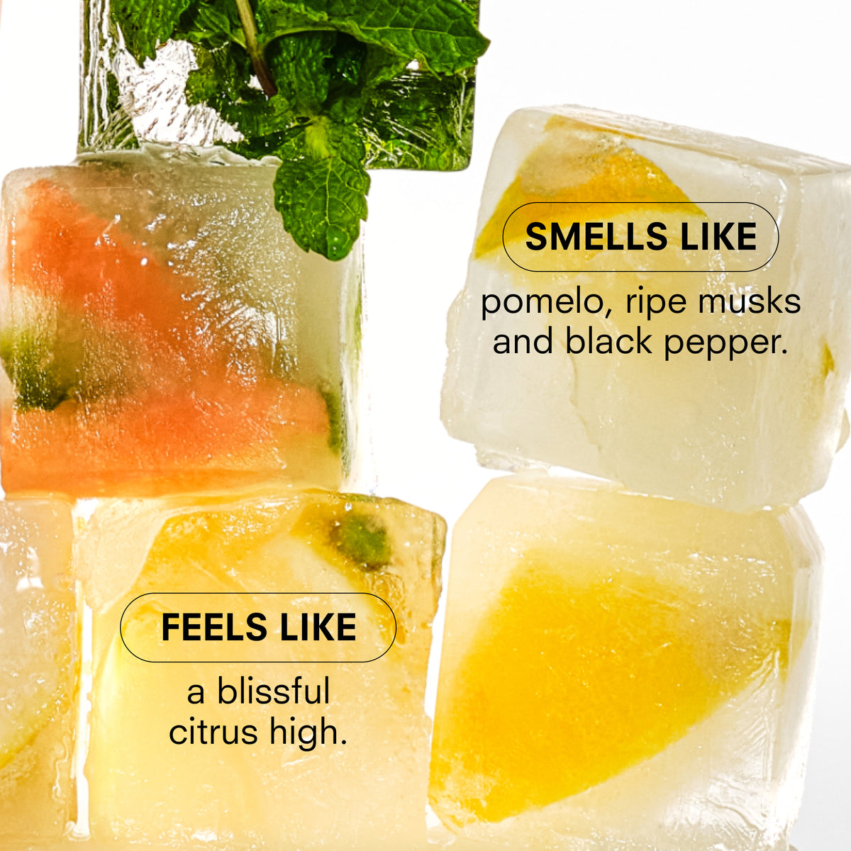 CITRUSH TRY IT ALL