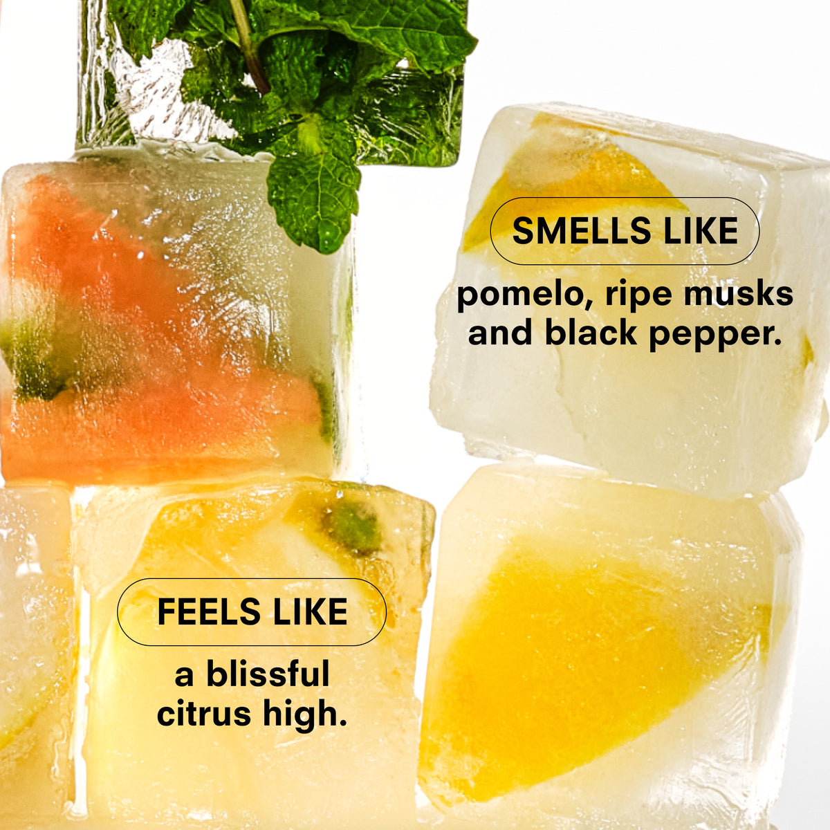 CITRUSH SNIFF + SPRAY